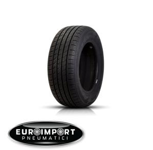 Rapid P619 225/45 R18 95 W